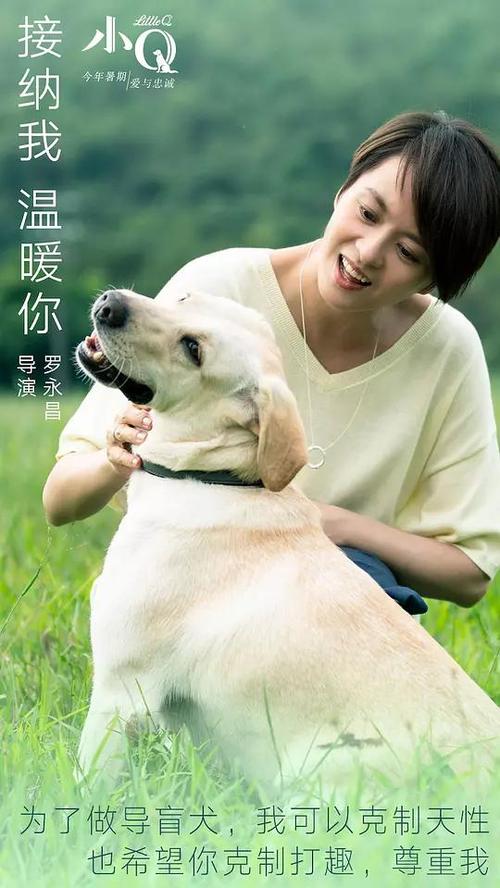 一比一仿犹他谷大学文凭
